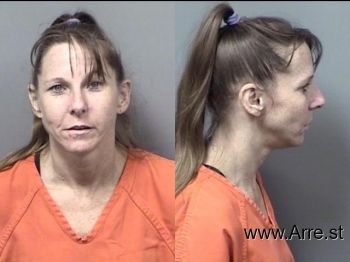 Tammy Jo Bryant Mugshot