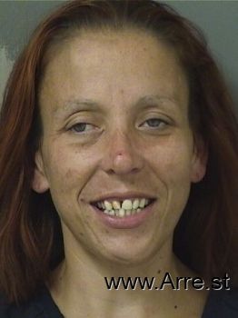 Tammy Lee Vorhees Mugshot