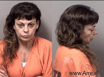 Tanya Ann Schaefer Mugshot