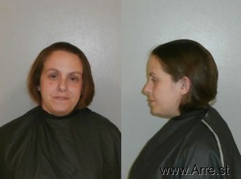 Tara Hoyt Williams Mugshot