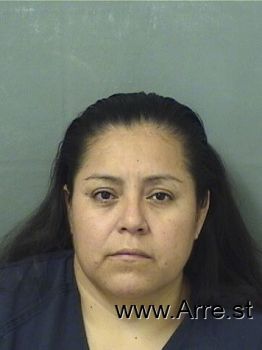 Teresa Dejesus Hernandezvasquez Mugshot