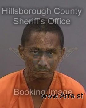 Theodus  Johnson Mugshot