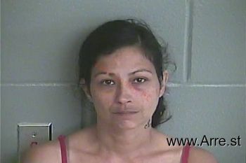 Theresa Marie Morgan Mugshot