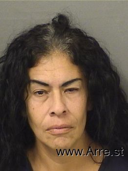 Tina Marie Santiago Mugshot