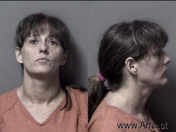 Tracy Lyn Rouse Mugshot