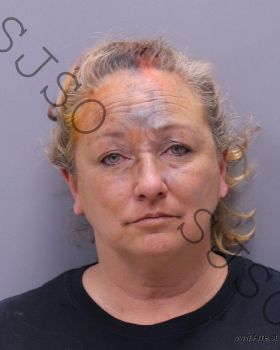 Tami Rene Davis Mugshot