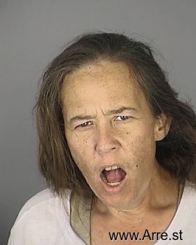 Tammie Sue Henson Mugshot