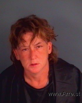 Tammy Ann Davis Mugshot