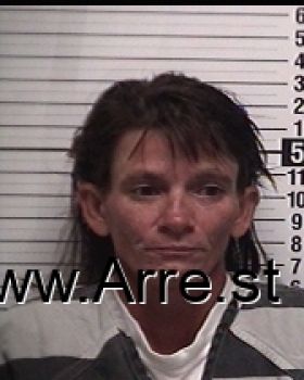 Tammy Lea Payne Mugshot