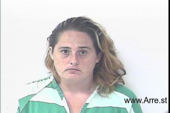 Tara Lynn Johnson Mugshot