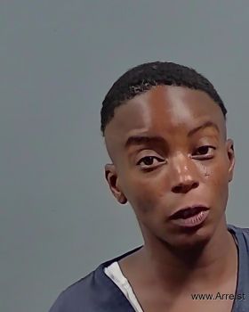 Tashina Shontell Johnson Mugshot