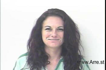 Taylor Brianne Stecher Mugshot