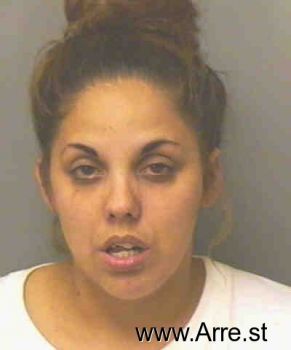 Teresa  Sanchez Mugshot