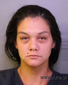 Teresa  Sanchez Mugshot