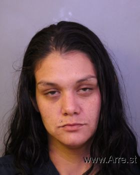 Teresa Nicole Sanchez Mugshot