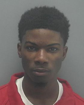 Terrence L Williams Mugshot