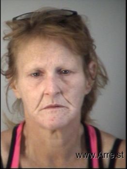 Terri Lynn Crockett Mugshot