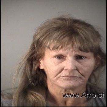 Terri Lynn Crockett Mugshot