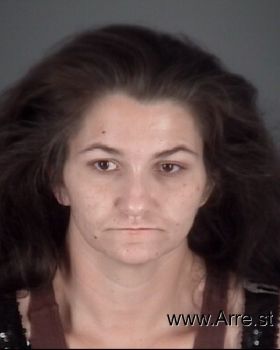 Terri Lynn Jones Mugshot