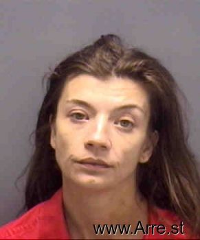 Theresa Lynn Larson Mugshot