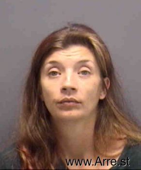 Theresa Lynn Larson Mugshot