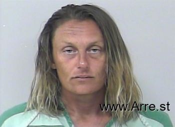 Theresa Ann Stanley Mugshot