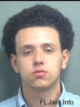 Thiago Brazil Delana Mugshot