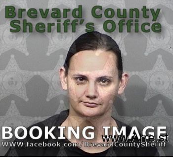 Tiffany Brooke Fisher Mugshot