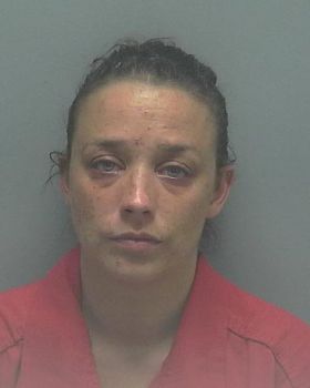 Tiffany Ann Nelson Mugshot