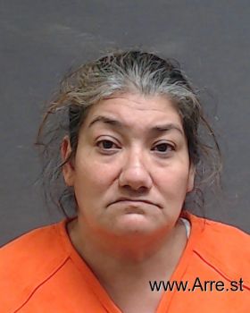 Tina Marie Elder Mugshot