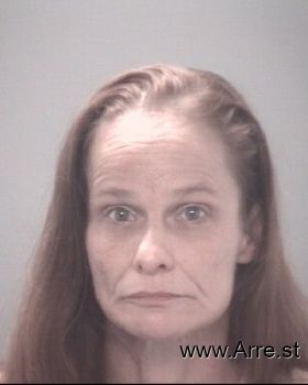 Tina F Johnson Mugshot