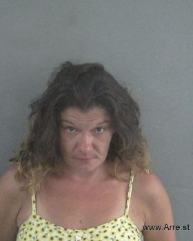 Tina Louise Johnson Mugshot