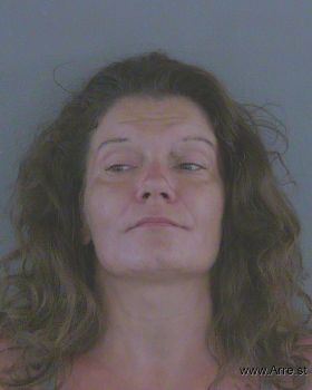 Tina Louise Johnson Mugshot