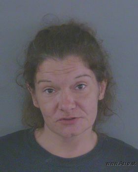 Tina Louise Johnson Mugshot