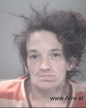 Tina M King Mugshot