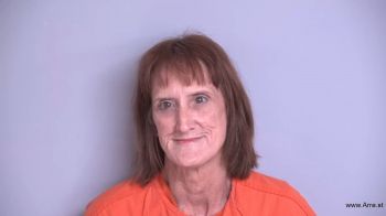 Tina Louise Wells Mugshot