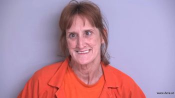 Tina Louise Wells Mugshot