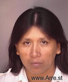 Tomasa  Alvarado-toledo Mugshot