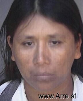 Tomasa  Alvarado-toledo Mugshot