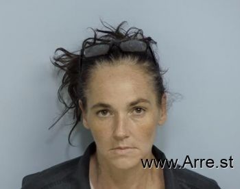 Toni Leigh Anderson Mugshot