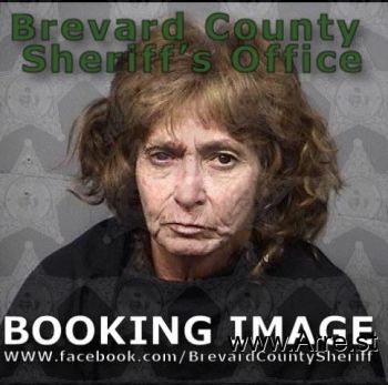 Tonja Ann King Mugshot