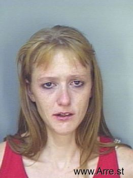 Tonya Lynn Parks Mugshot