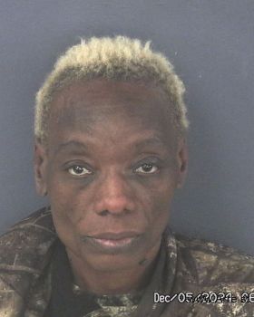 Towanda Lashawn Saucier Mugshot