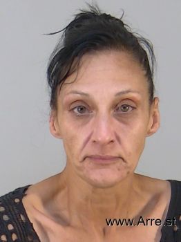 Tracy Ann Barnes Mugshot