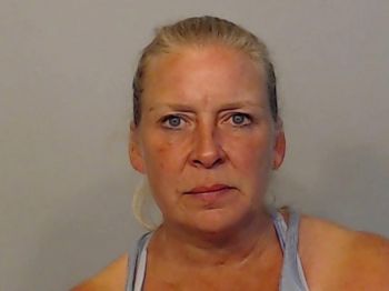 Tracy Lynn Johnson Mugshot