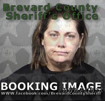 Tracy Leigh Johnson Mugshot