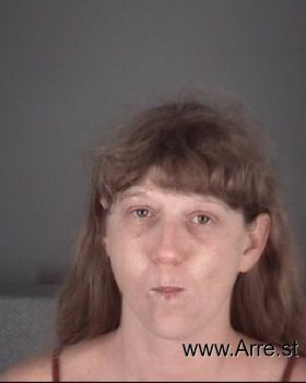 Tracy Lynn Sullivan Mugshot