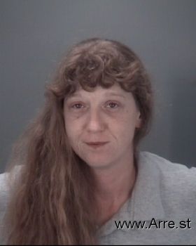 Tracy Lynn Sullivan Mugshot