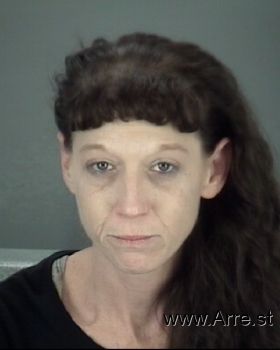 Tracy Lynn Sullivan Mugshot