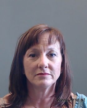 Tracy Elizabeth Sullivan Mugshot